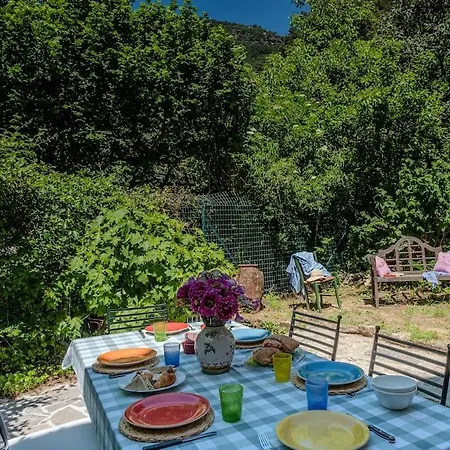 Verdant Grove Near Pisa * Tre Colli