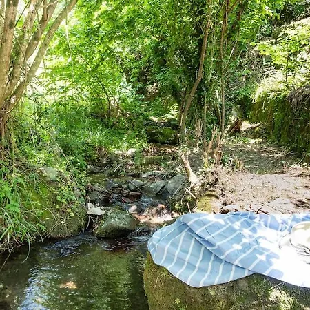 Happy Childhood By The Stream Pet Friendly