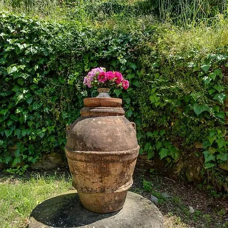 Happy Childhood By The Stream Pet Friendly Σπίτι διακοπών *