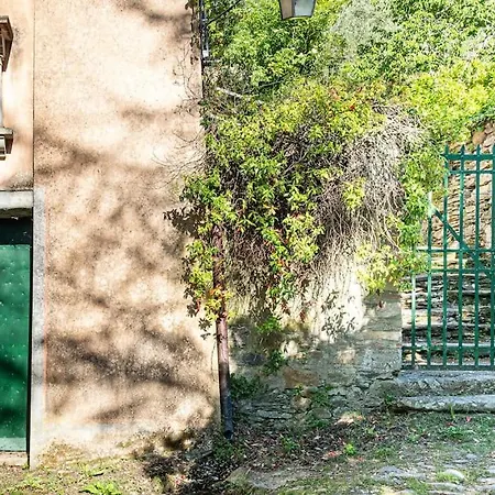 Happy Childhood By The Stream Pet Friendly