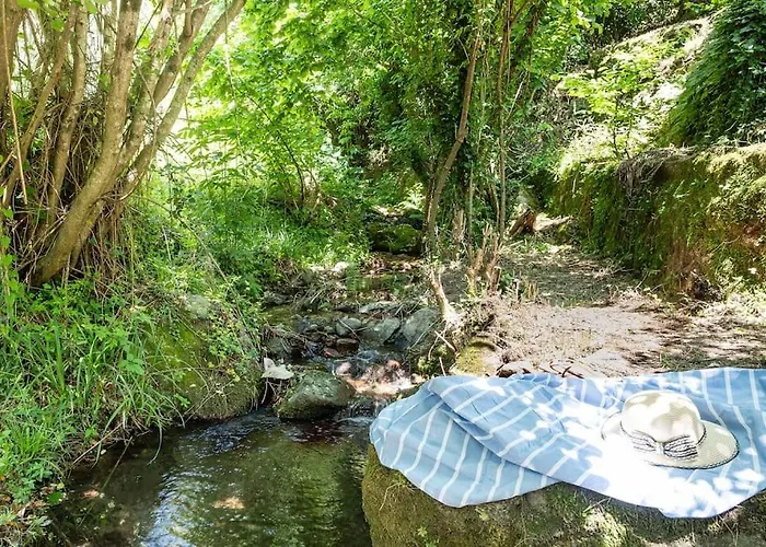 Happy Childhood By The Stream Pet Friendly