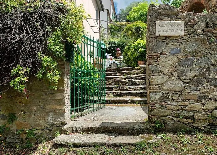 Happy Childhood By The Stream Pet Friendly *