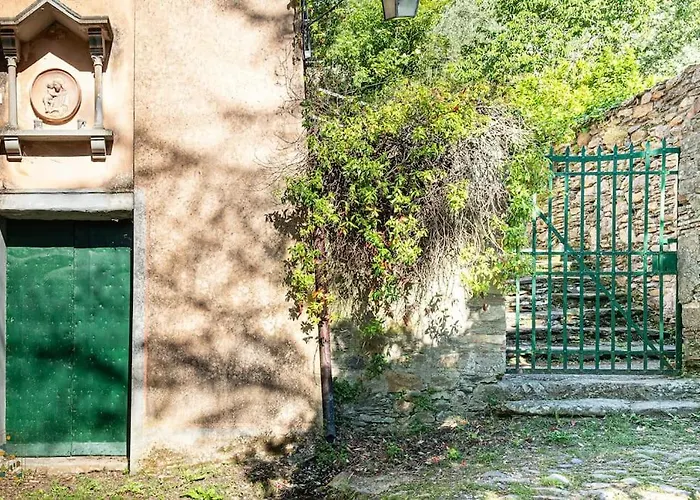 Happy Childhood By The Stream Pet Friendly